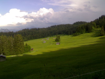 Moor